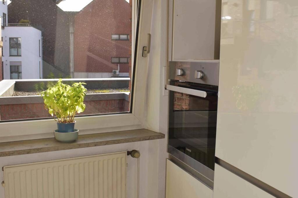 Leben An Der Ems. Rheine Exterior foto